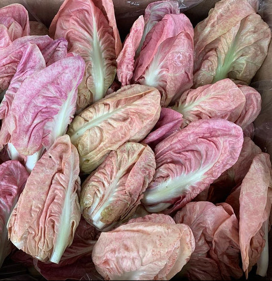 Pink Radichhio