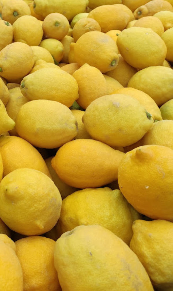 Lemon Verna