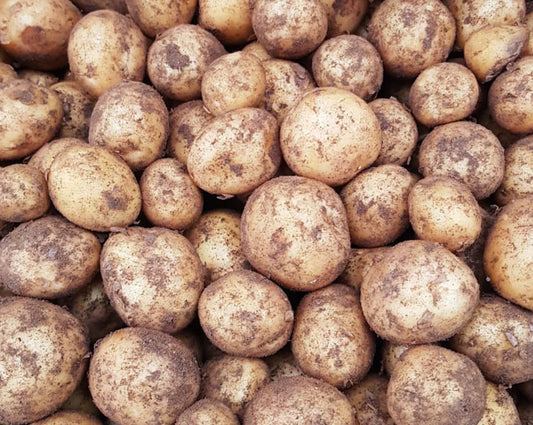 Potatoes - Scraper