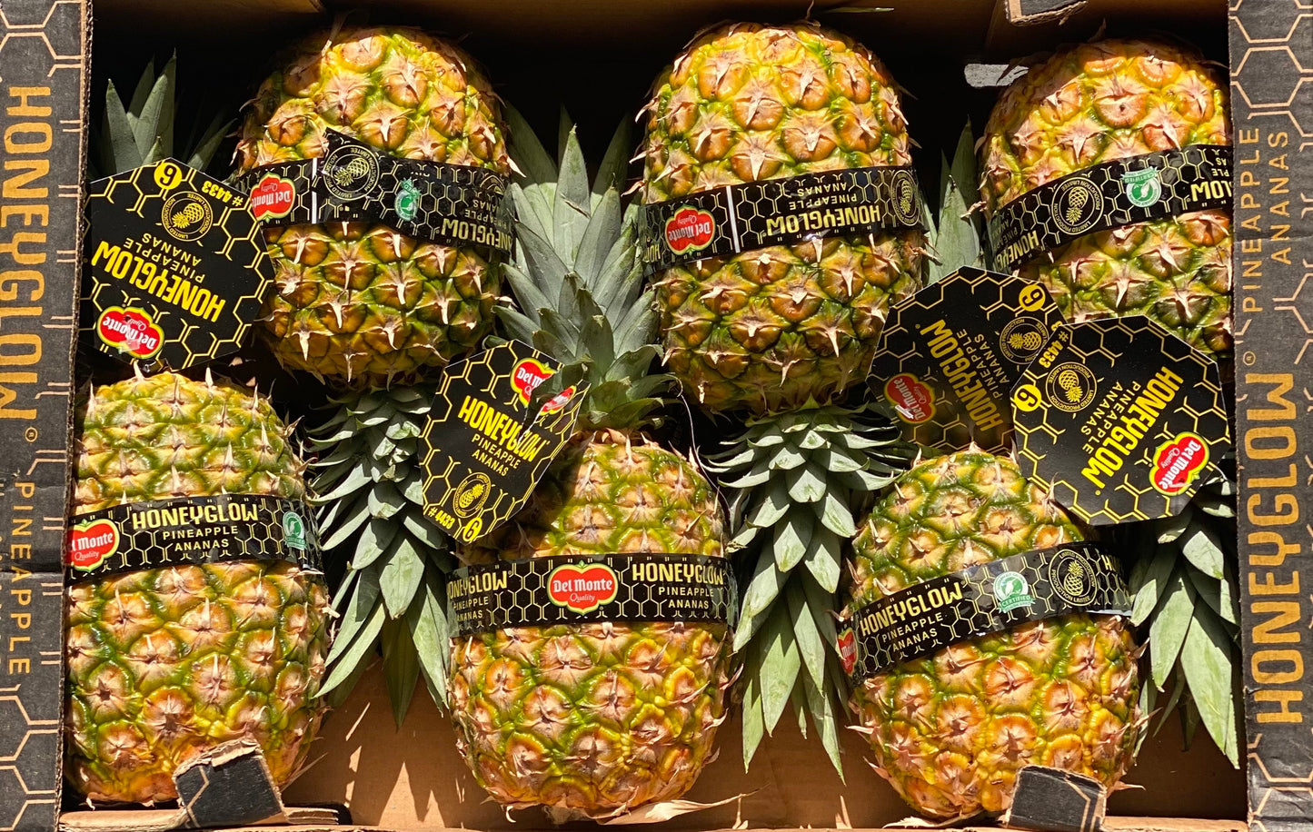 Pineapple - Honeyglow Extra Sweet