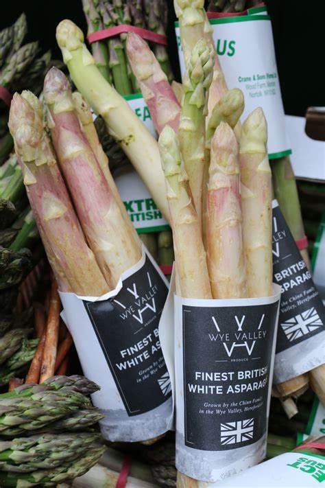 British White Asparagus