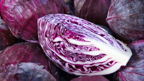 Cabbage - Red