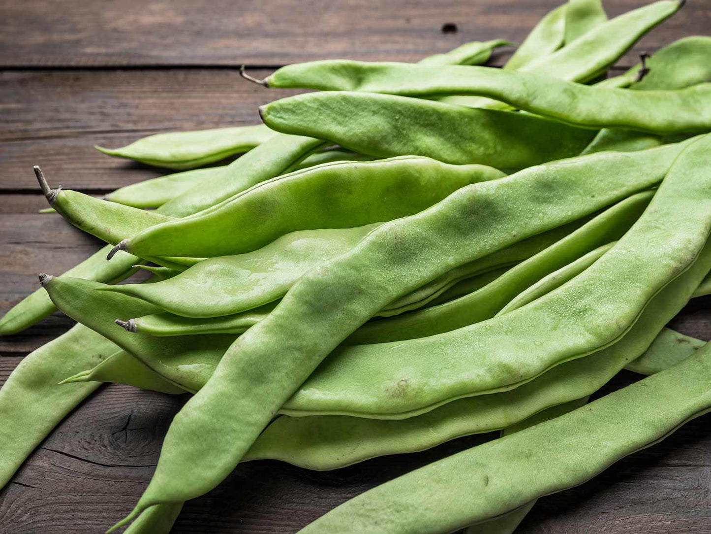 Beans - Runner