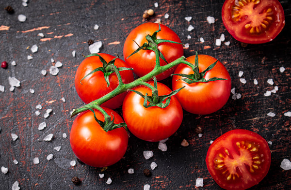 Tomatoes - On Vine