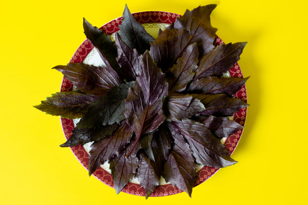 Bulls Blood Krystal Salad Leaf