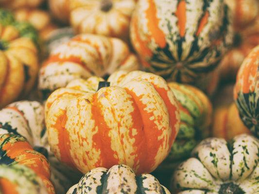 Pumpkin