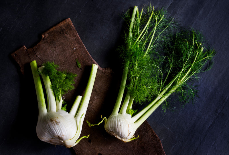 Flowers Edible Fennel