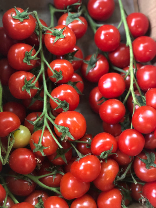 Tomatoes - Cherry On Vine