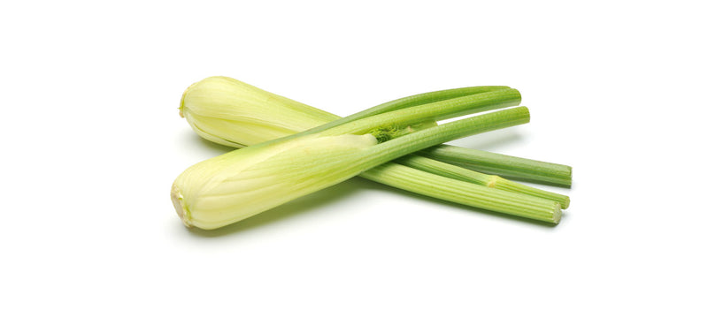 Fennel - Baby