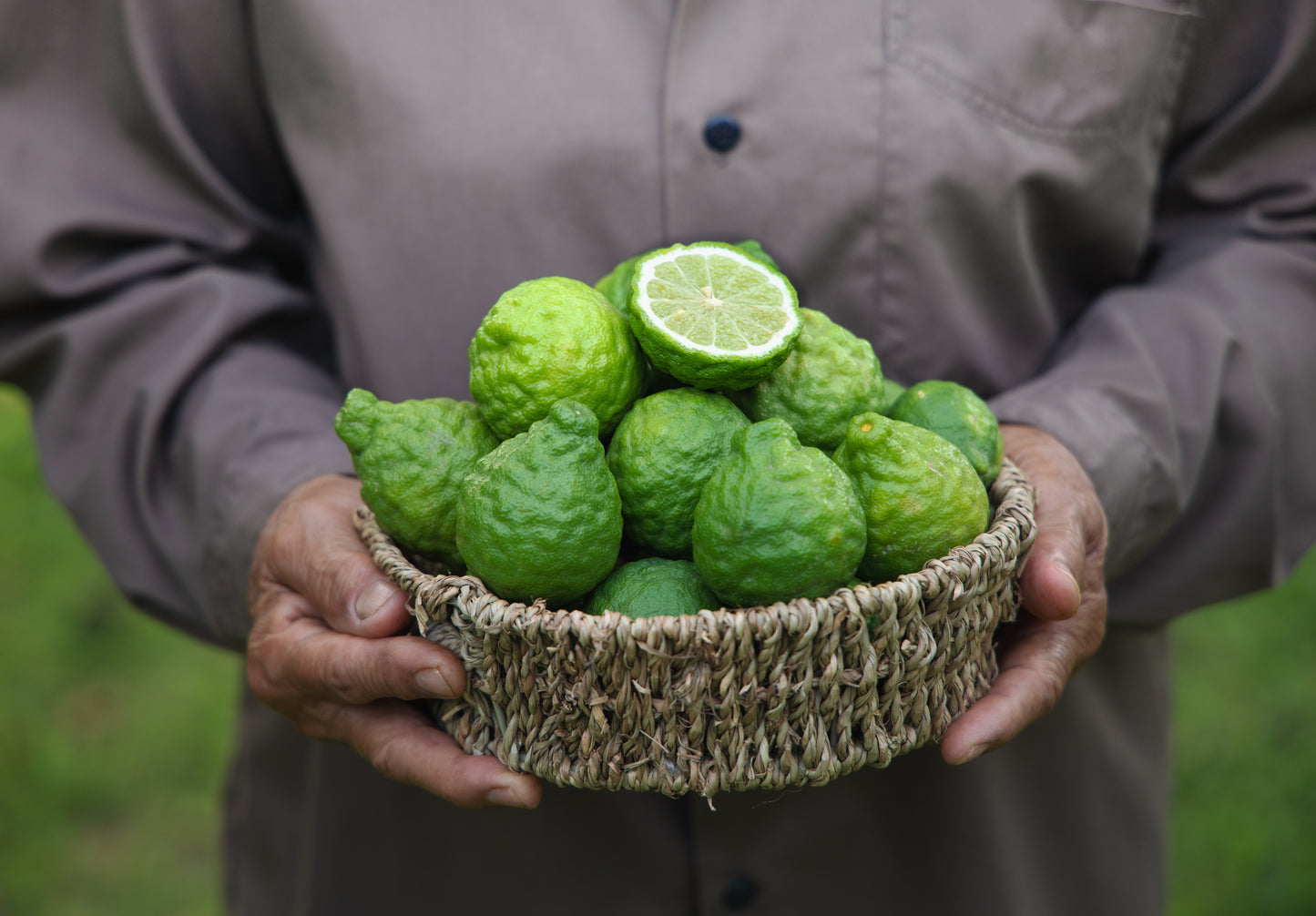 Limes - Kaffir