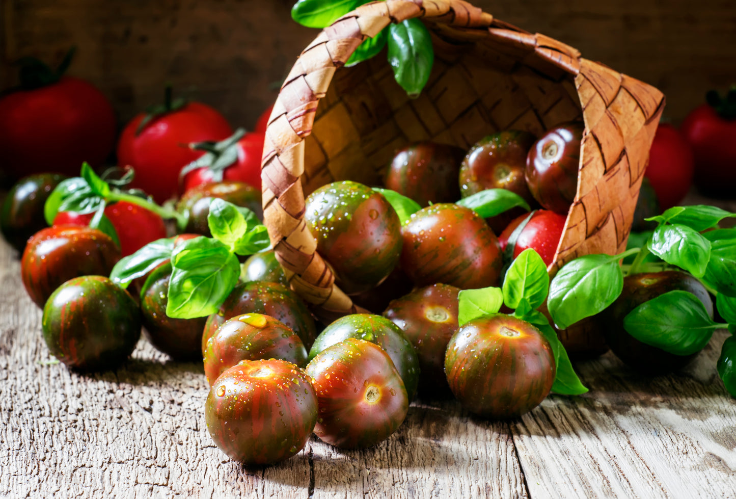 Tomatoes - Chocomato