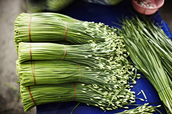 Kow Choi (Chinese Chives)