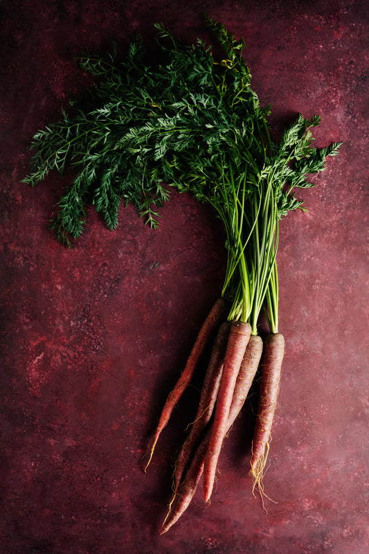 Indian Carrot
