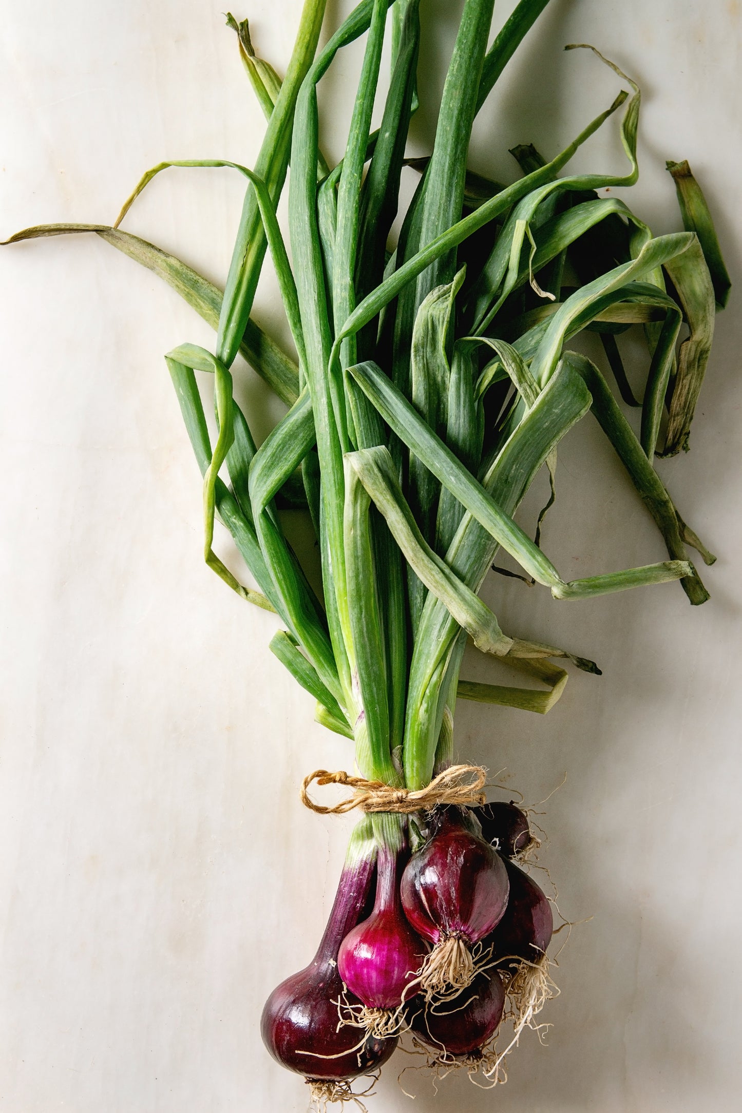 Onions Bunched Grelot Red