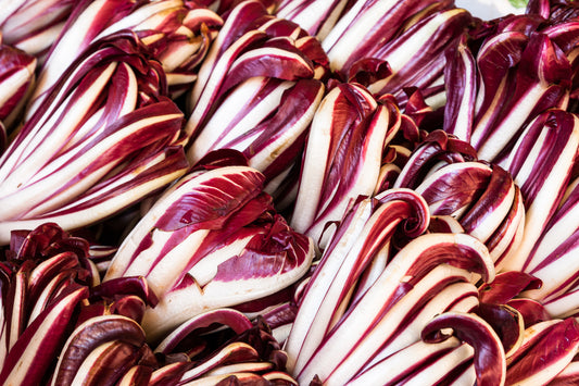Lettuce - Treviso