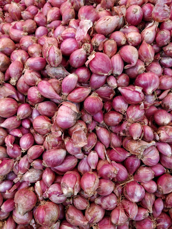 Shallots - Round