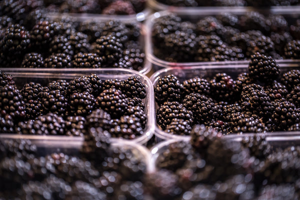 Frozen - Blackberries