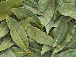 Bay Leaves