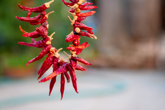 Dried Chilli String