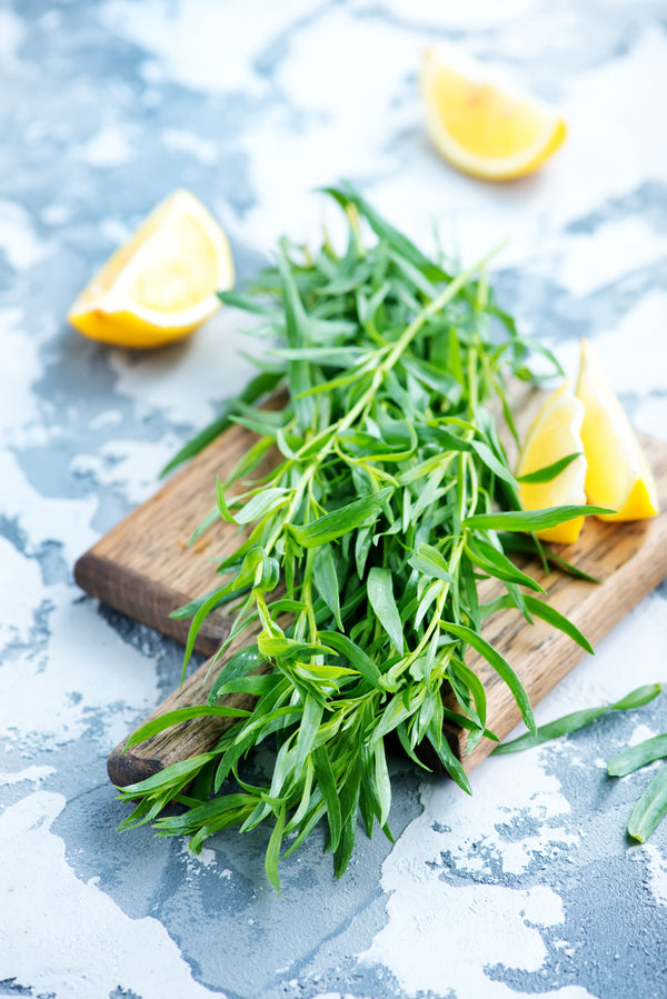 Micro Tarragon