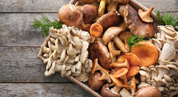 Mushrooms - Exotic Mixed