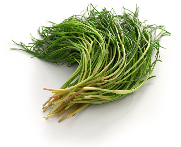 Monks Beard / Agretti