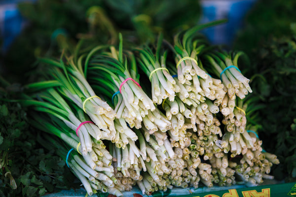 Onions Cebette bunched