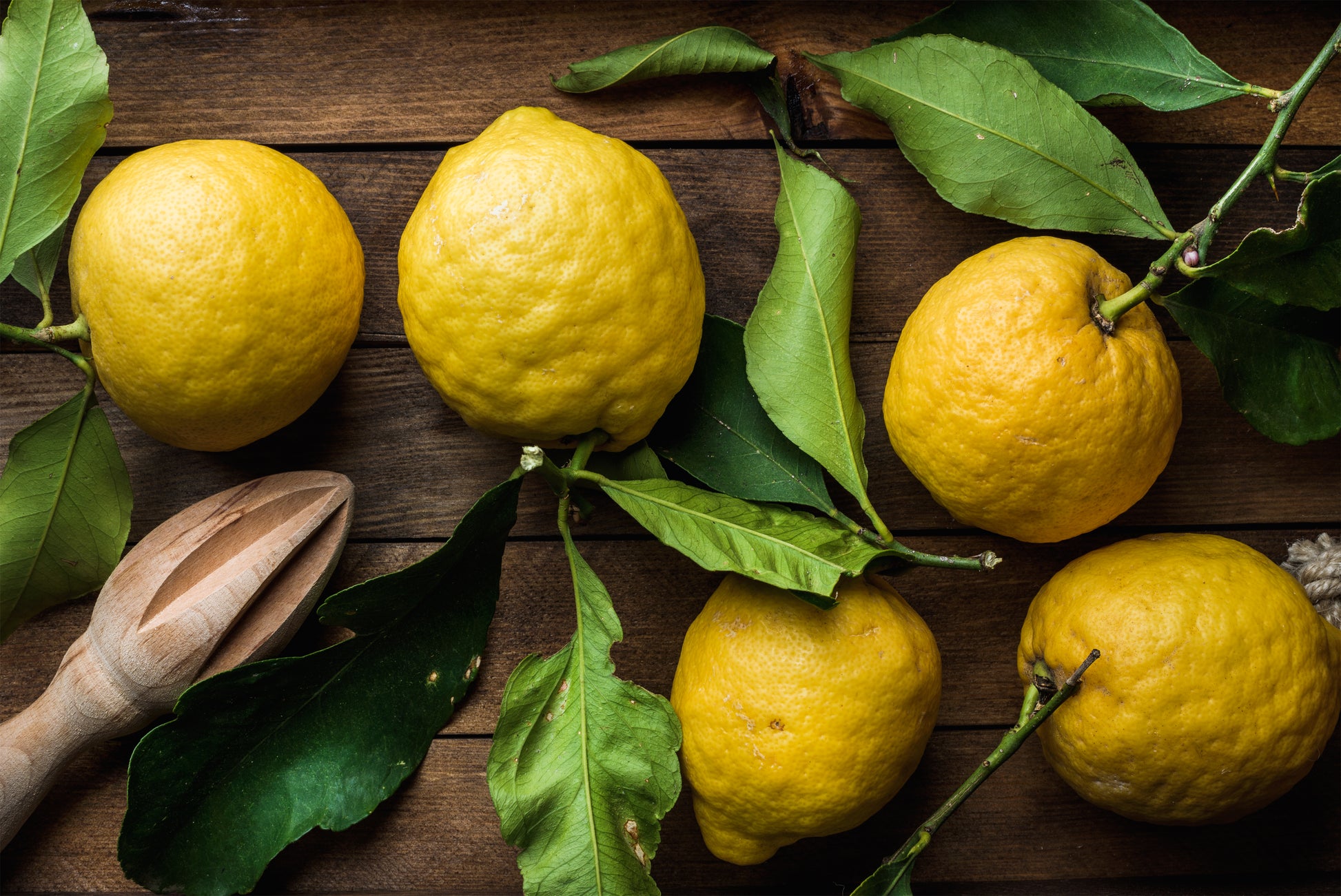 Lemon Challow Chedro Lemon – Farmford & Co