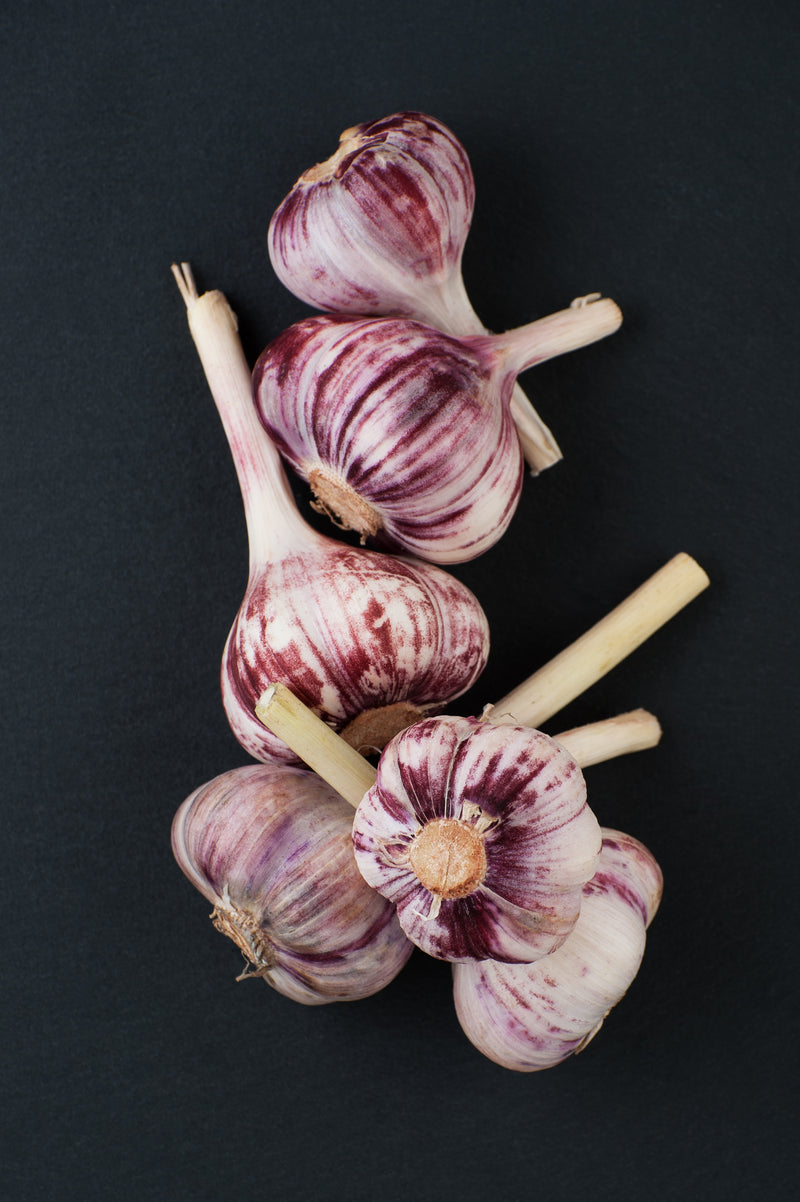 Garlic Pink Bunch