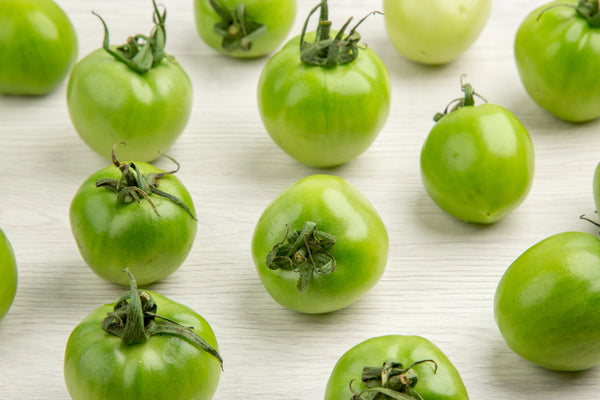 Tomatoes - Green