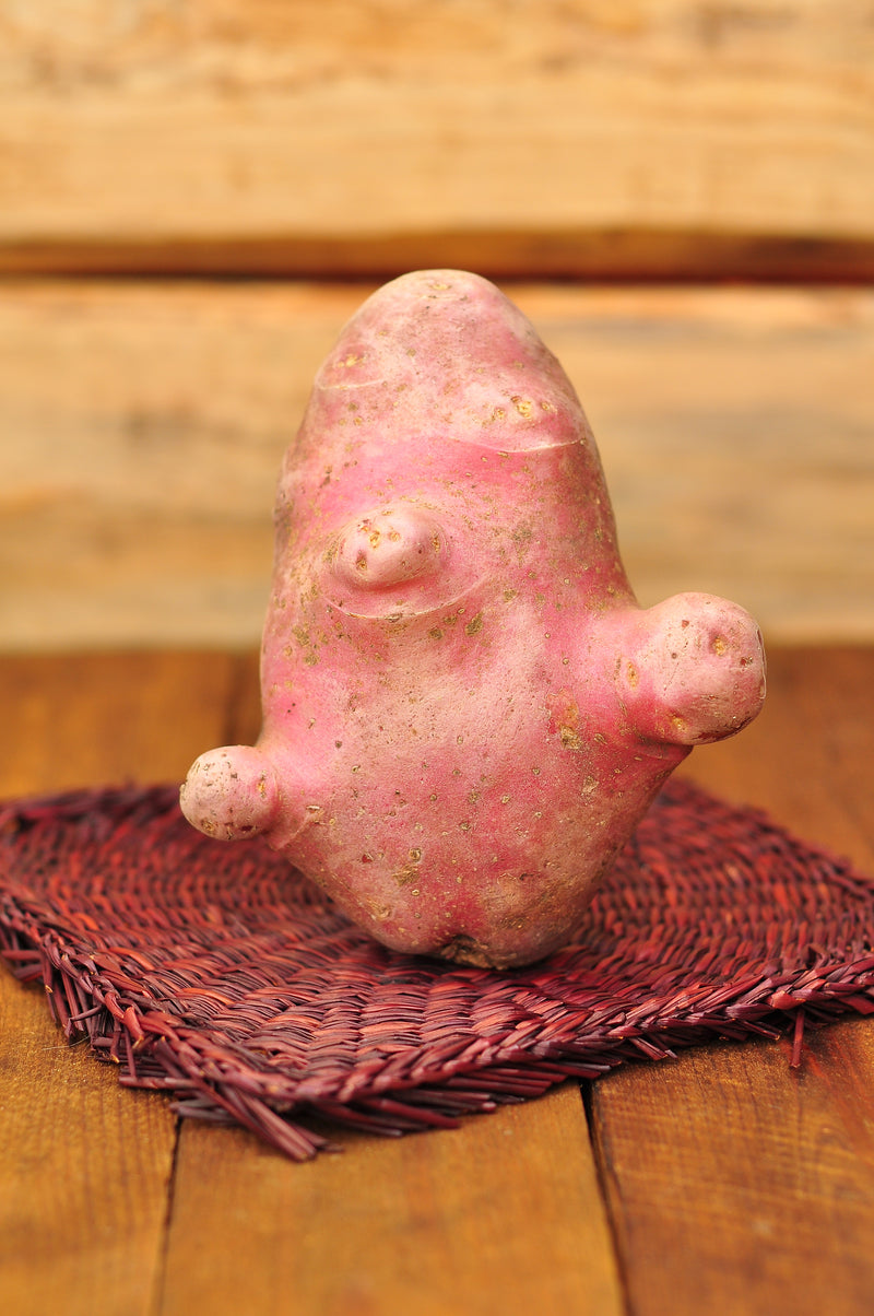 Potatoes - Pink Fir