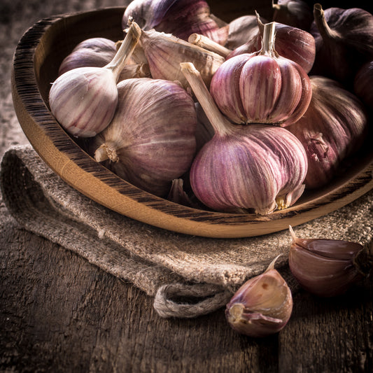 Garlic Pink 