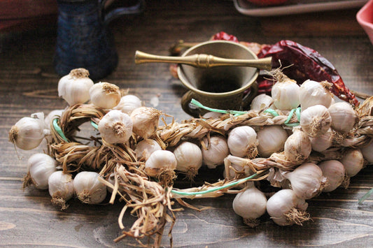 Garlic String