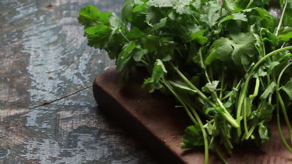 Coriander