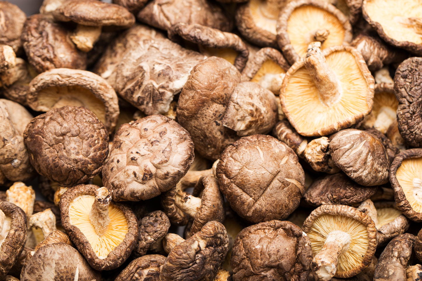 Mushrooms - Shiitake