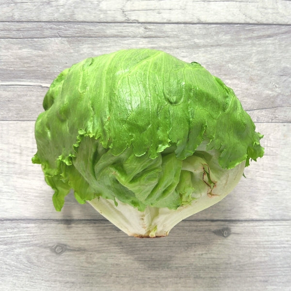 Lettuce - Iceberg