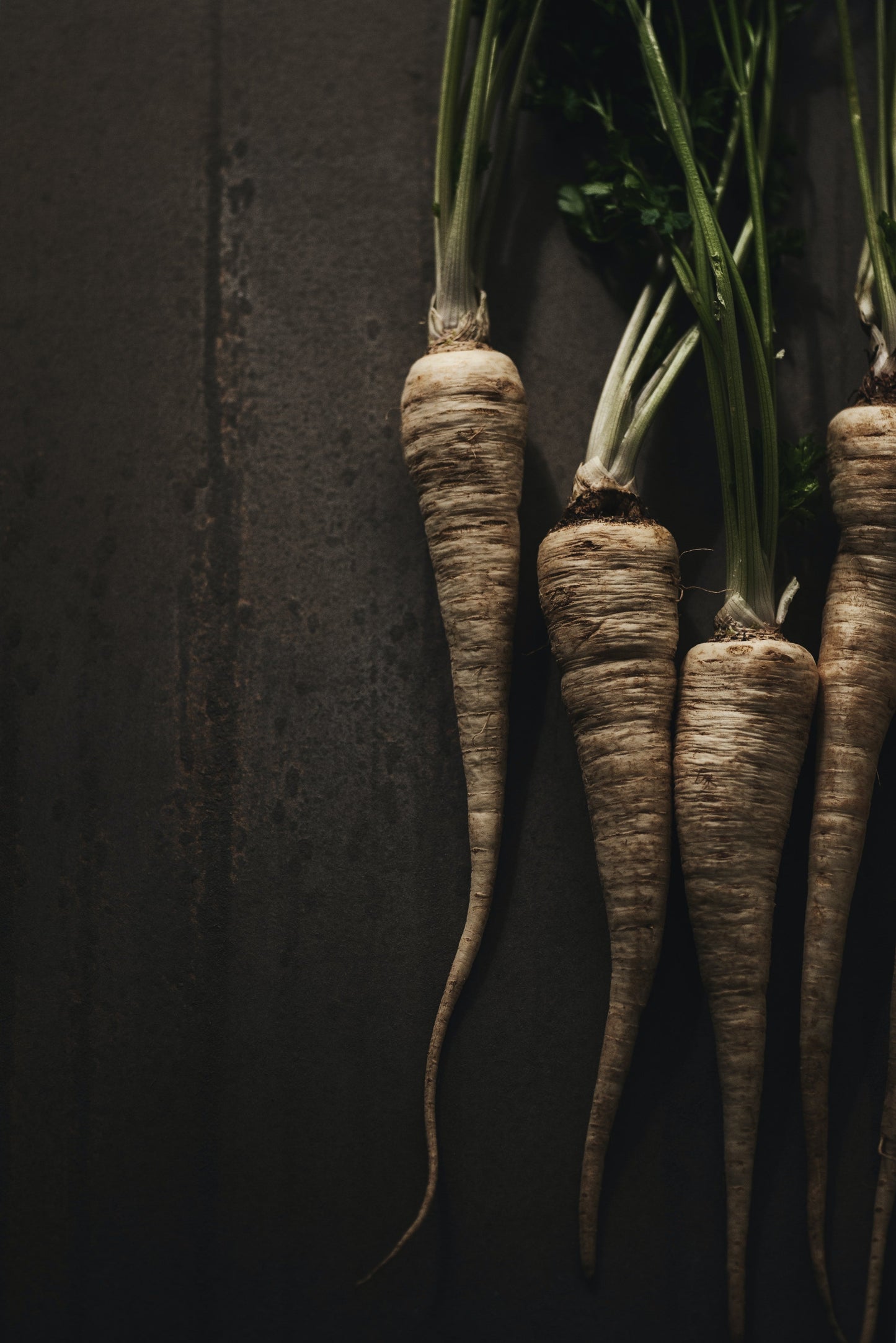 Parsnip