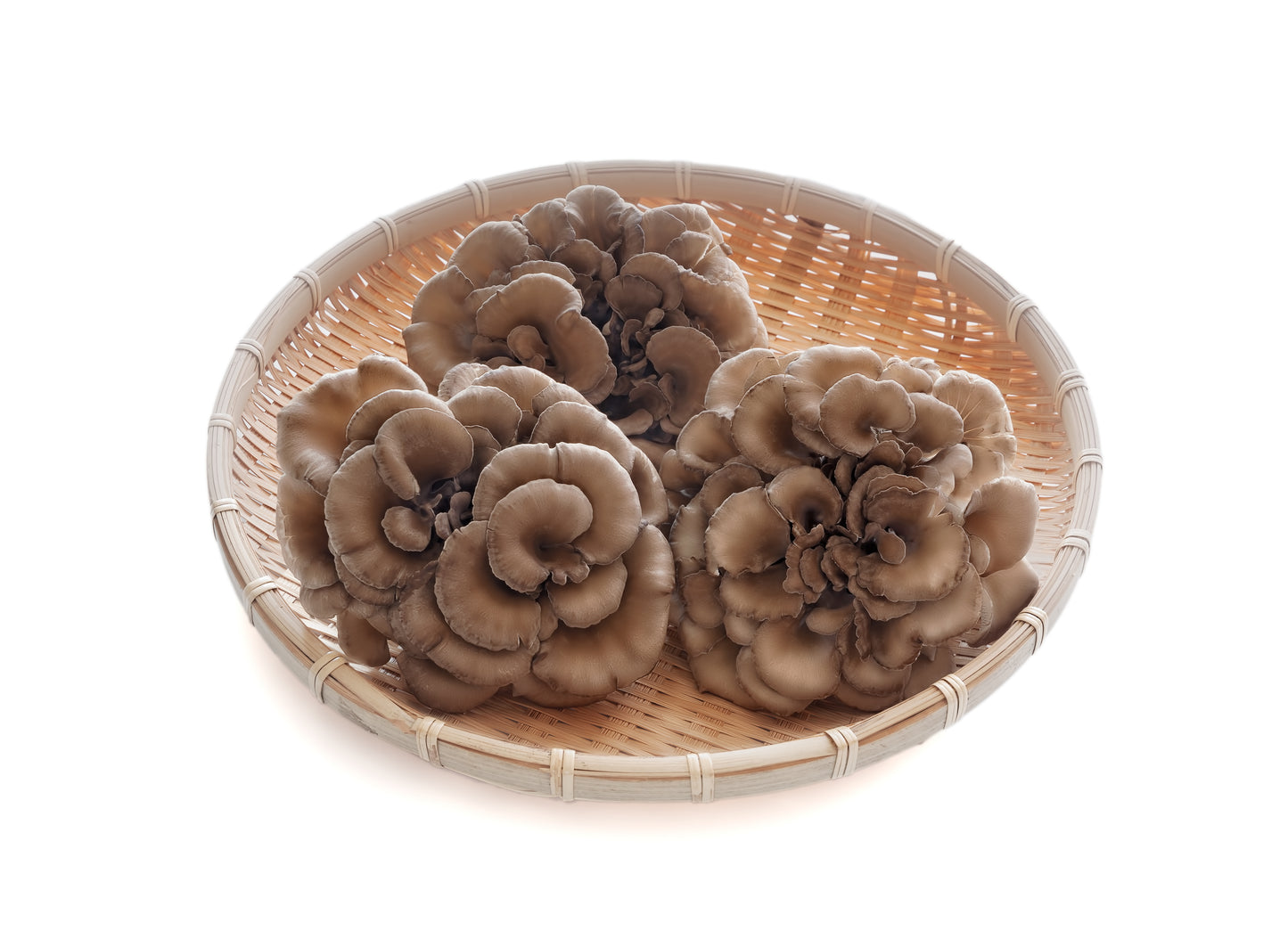 Mushrooms - Maitake Hen Of The Woods