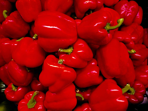 Peppers - Red