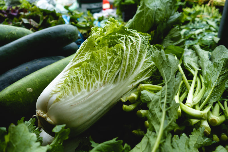 Chinese Cabbage