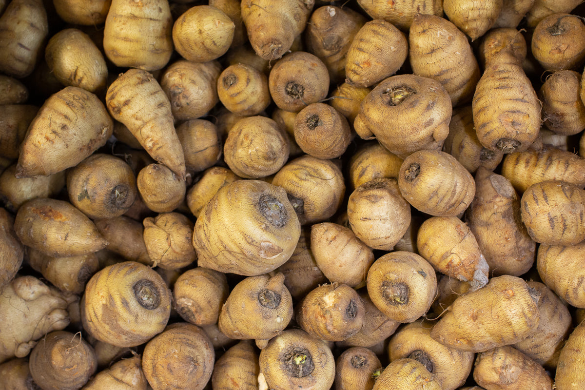 Chervil root