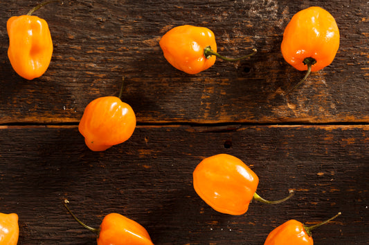 Peppers - Orange Baby
