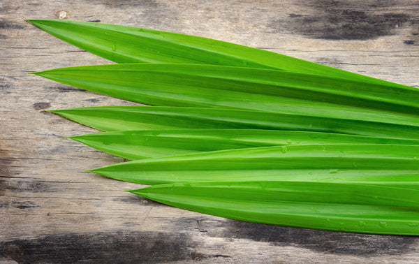 Pandan Leaves