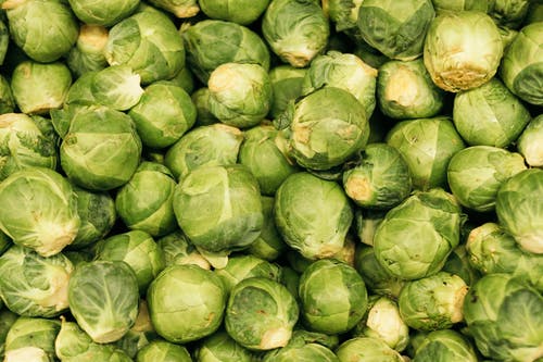 Brussels Sprout