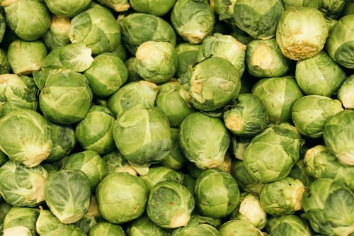 Brussels Sprouts - Stalk