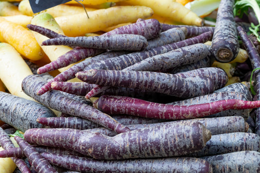 Carrot Purple