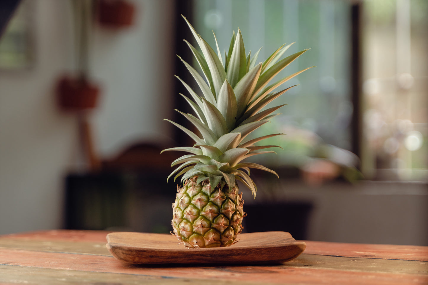 Pineapples - Baby