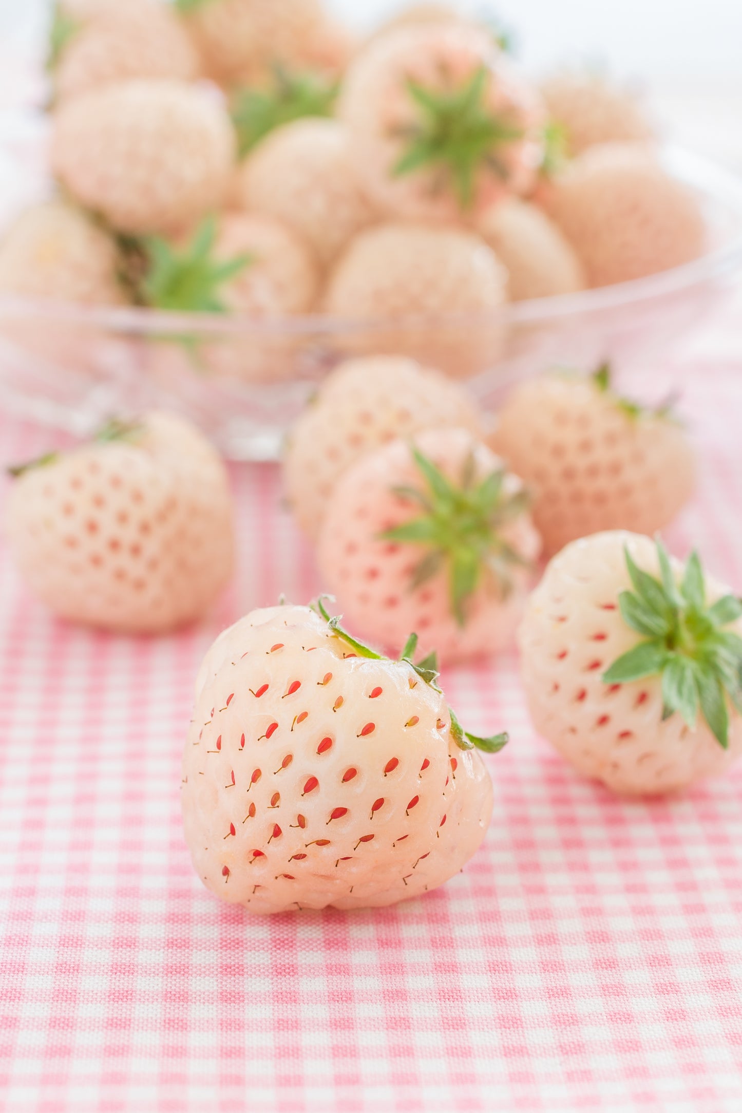 Pineberries