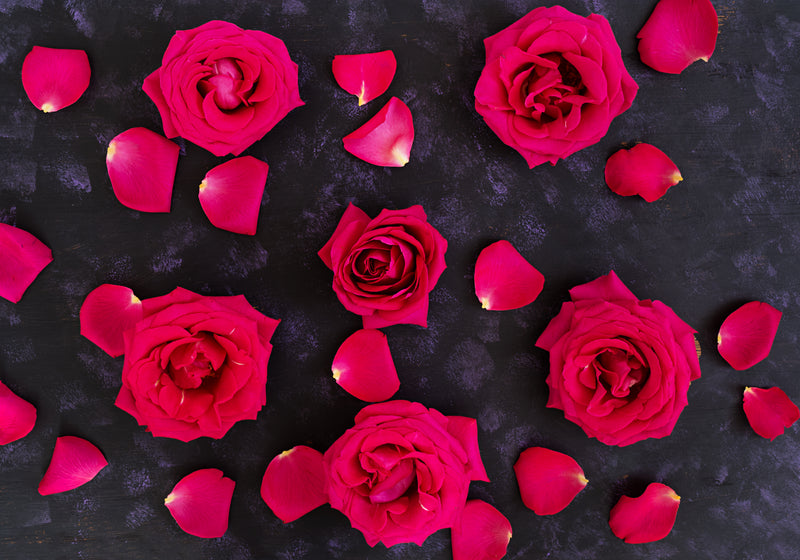 Edible Rose Petals