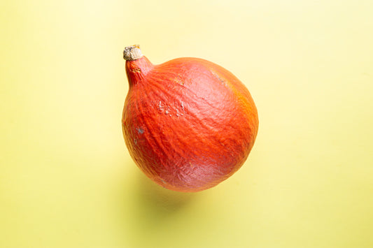 Squash - Onion